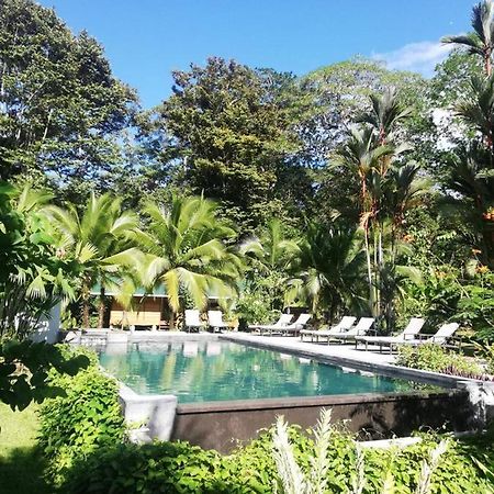 Passion Fruit Lodge Cahuita Eksteriør bilde