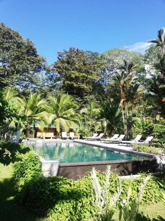Passion Fruit Lodge Cahuita Eksteriør bilde