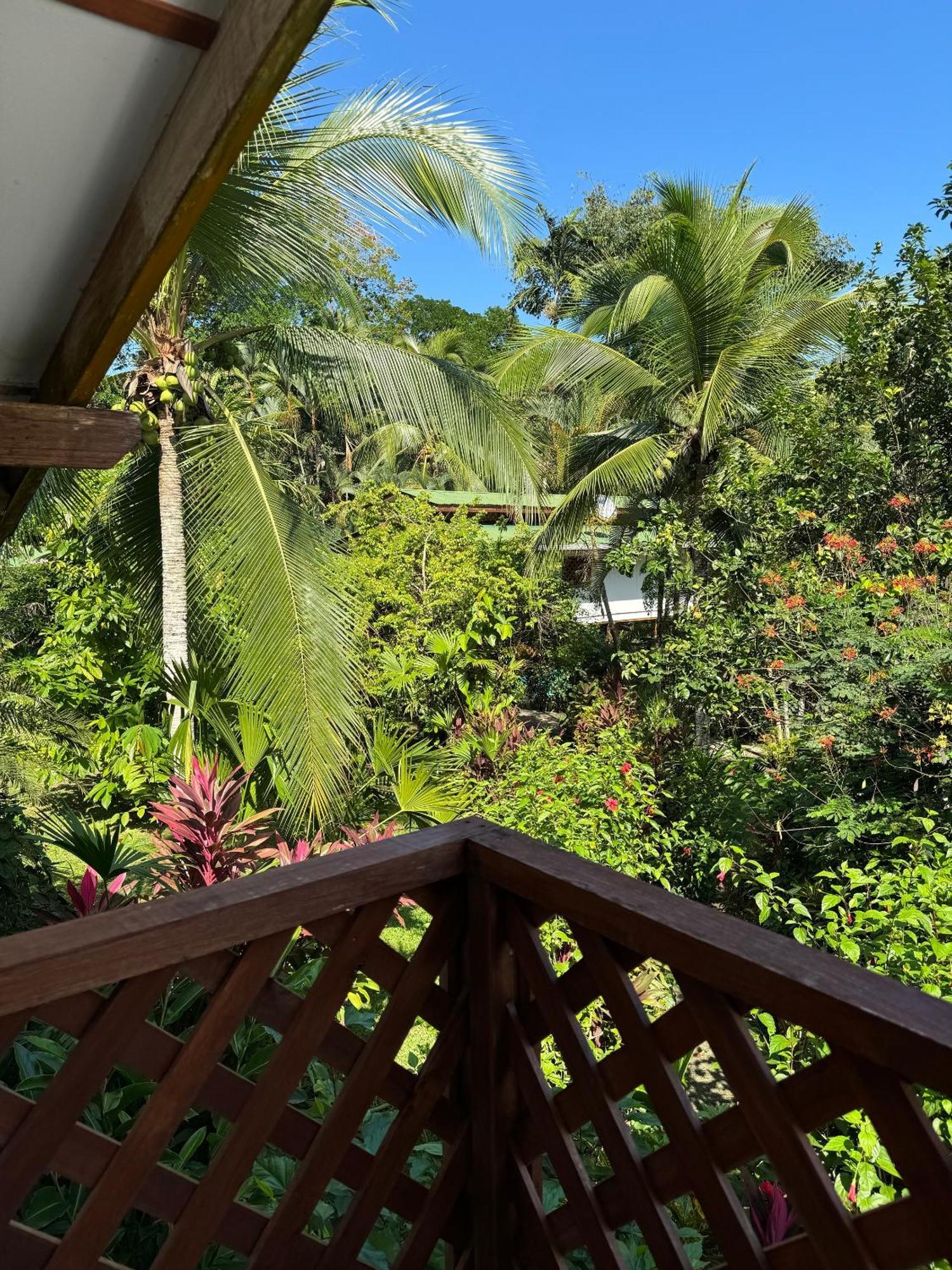 Passion Fruit Lodge Cahuita Eksteriør bilde