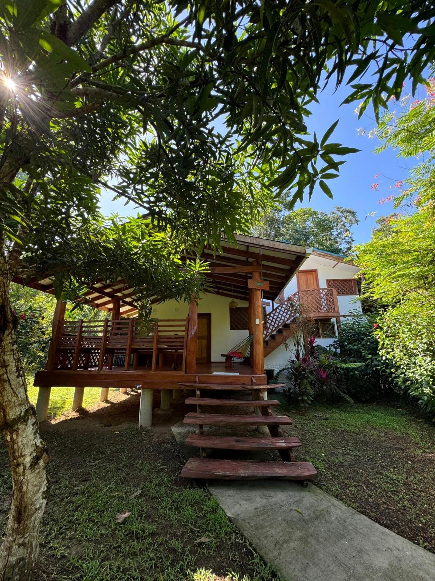 Passion Fruit Lodge Cahuita Eksteriør bilde