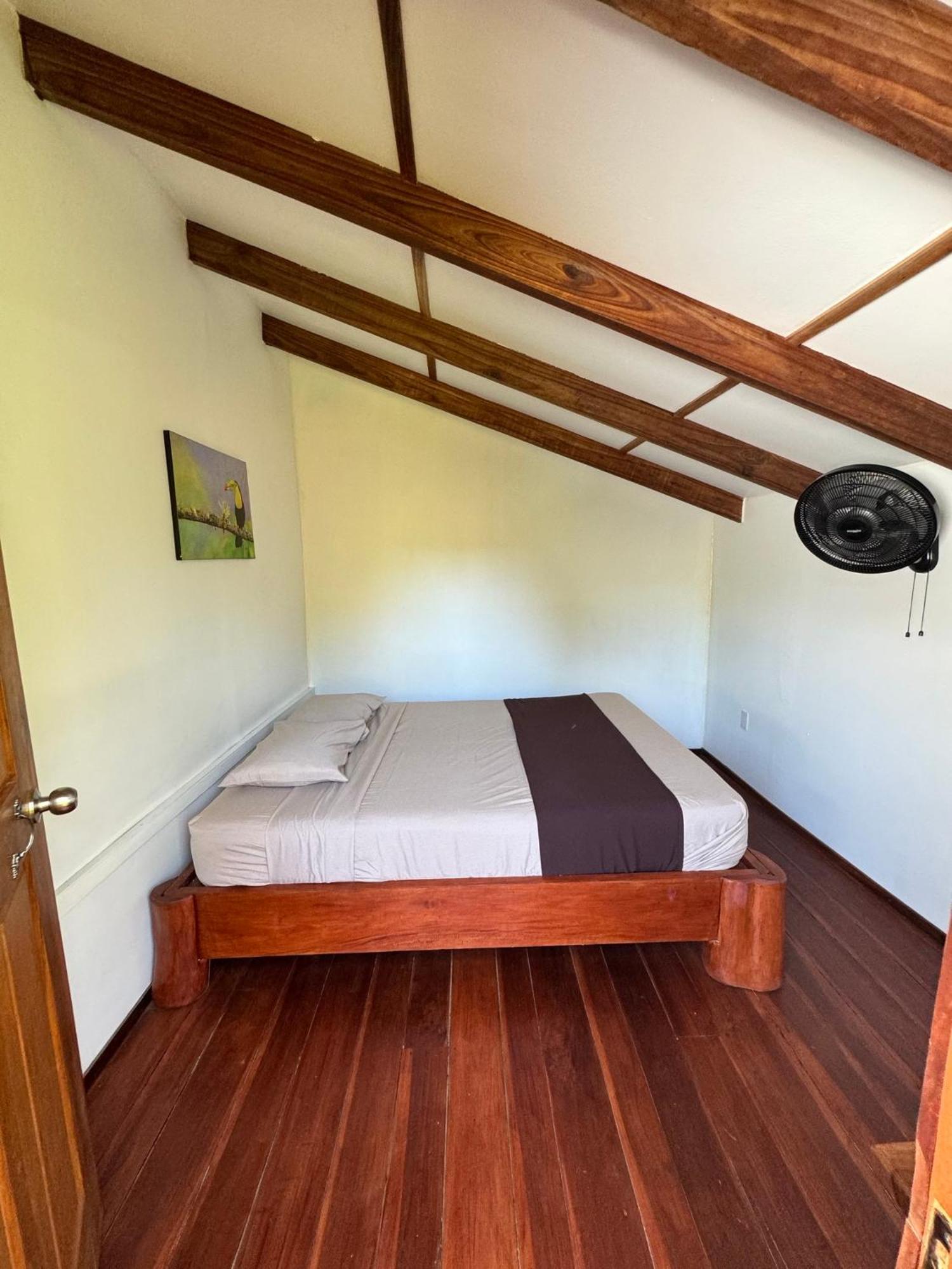Passion Fruit Lodge Cahuita Eksteriør bilde