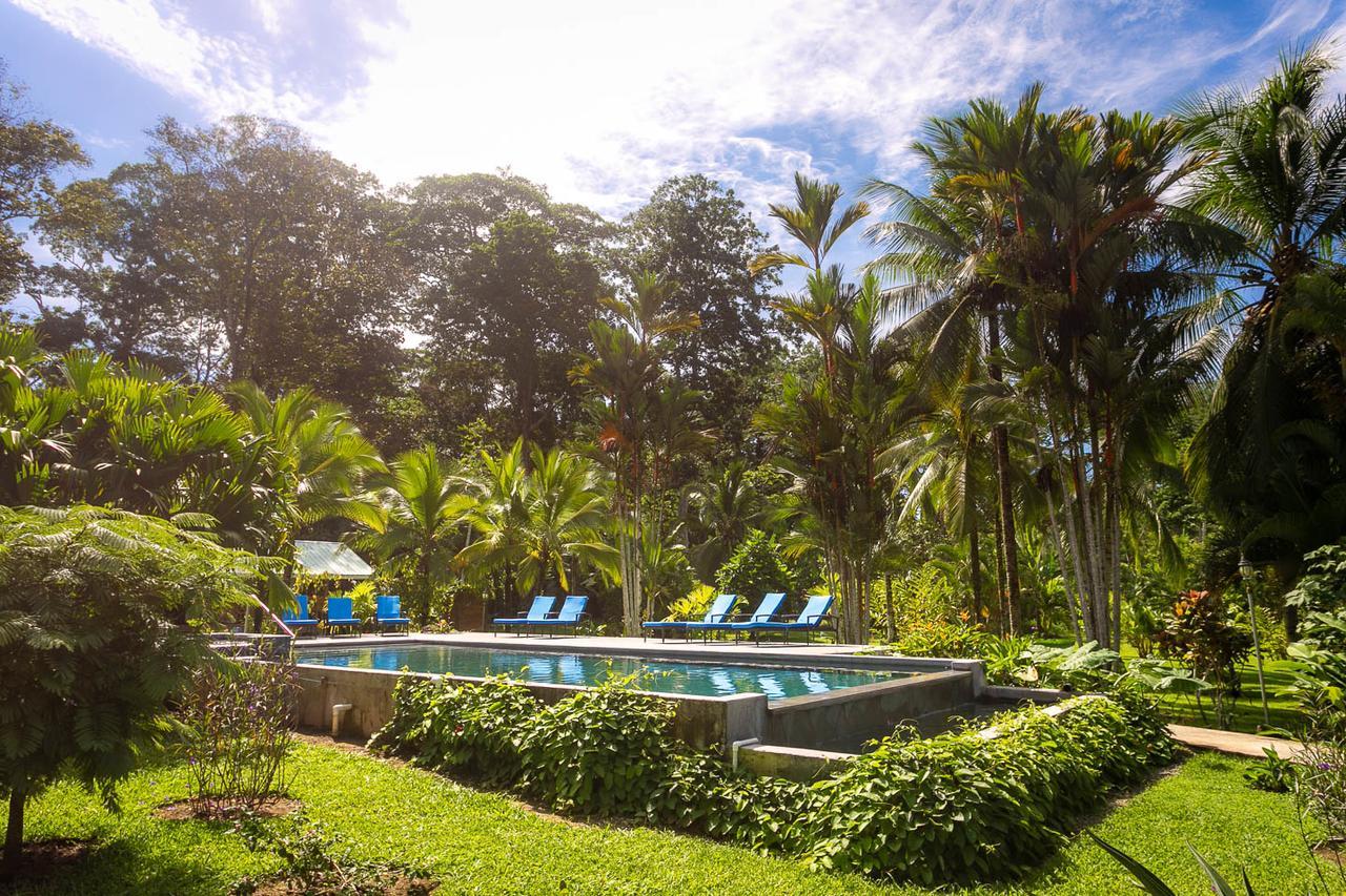 Passion Fruit Lodge Cahuita Eksteriør bilde