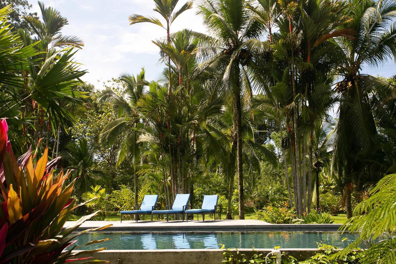 Passion Fruit Lodge Cahuita Eksteriør bilde