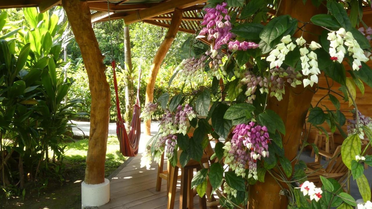 Passion Fruit Lodge Cahuita Eksteriør bilde